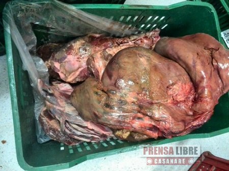 Media tonelada de carne de res en estado de descomposición fue incautada en Yopal