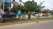 El Idury realiza embellecimiento del separador de la calle 40 de Yopal