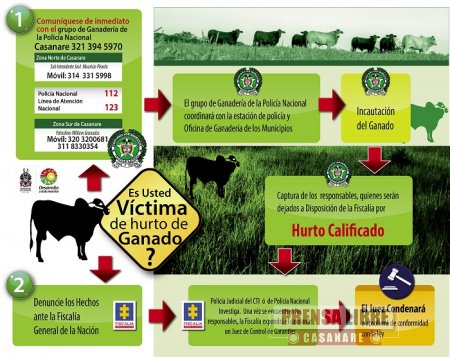 Autoridades toman por los cuernos delito de hurto de ganado y &#8220;carneo&#8221; en Casanare