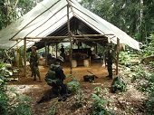 Complejo cocainero del Frente 16 de las FARC fue destruido en Vichada  