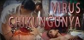 En Casanare se esperan 3500 casos del virus Chikungunya