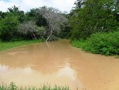 Comunidades de zona rural de Yopal advierten sobre proyecto petrolero que afectaría por lo menos 12 corrientes de agua