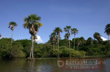 Laguna del Tinije nuevamente amenazada por proyecto petrolero?