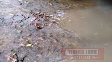 Piden intervención de Corporinoquia en posible contaminación de caño en Aguazul 