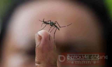 En Casanare habría sub registro de casos de Chikungunya 
