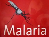 25 de abril día mundial de la malaria  o paludismo