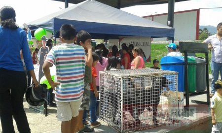 22 caninos y felinos esterilizados encontraran un hogar en Yopal