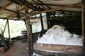 La Salina produce cinco toneladas diarias de sal