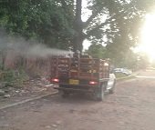 En 20 barrios de Yopal han sido necesarias intervenciones químicas por casos de Chinkungunya