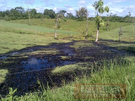 Asociación Colombiana de Ingenieros de Petróleos exigió que no haya más atentados contra la industria
