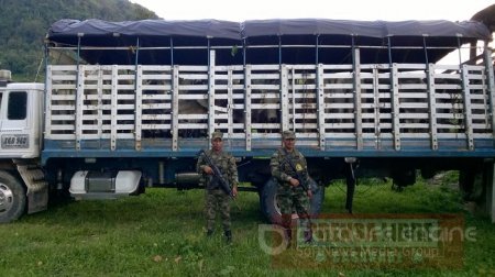 En Paz de Ariporo y Sácama Ejército frustró millonario robo de ganado 