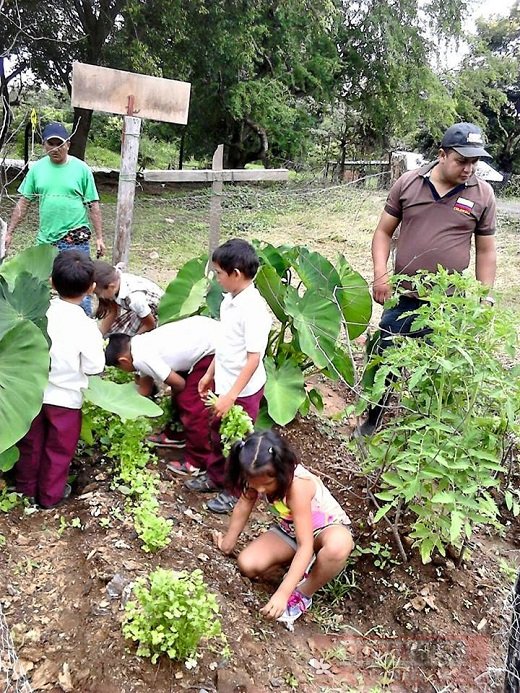 Proyecto de huertas escolares en Casanare modelo de producción limpia