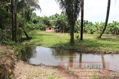 Autoridades ambientales verificaron intervención a la ronda protectora del caño Aguaverde en Yopal