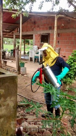 Avanza fumigación en veredas de Yopal contra vector transmisor de la enfermedad de Chagas