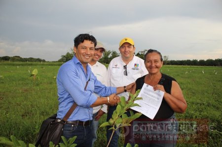 Alcaldía de Aguazul plantó 16 hectáreas de cultivos frutales 