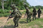Ejército entregó balance de resultados operacionales en Arauca durante el 2015