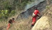 Alrededor de 240 hectáreas consumidas por incendio en el cerro El Venado