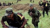 Agencia Colombiana para la Reintegración desmiente por ahora  anunció de zonas de concentración de las FARC en Casanare
