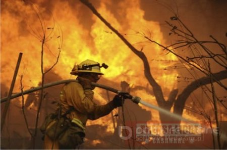 110 incendios forestales se han registrado en Yopal en los últimos dos meses
