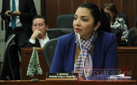 Senadora Nohora Tovar preocupada por zonas de concentración para las Farc en Casanare y Meta