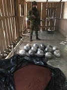 Ejército desmanteló fábrica clandestina de explosivos del ELN en Saravena