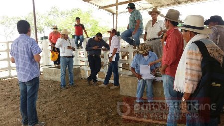 Secretaría de Agricultura entrega embriones de razas puras en 6 municipios de Casanare