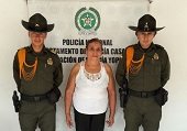 Carabineros de la Policía recuperaron semovientes equinos listos para ser comercializados en Bogotá