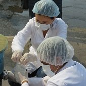 Un caso de hepatitis A y aumento de casos de enfermedad diarreica aguda reportan en Yopal