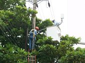 El jueves suspensión del servicio de energía en sectores rurales de Yopal y Aguazul