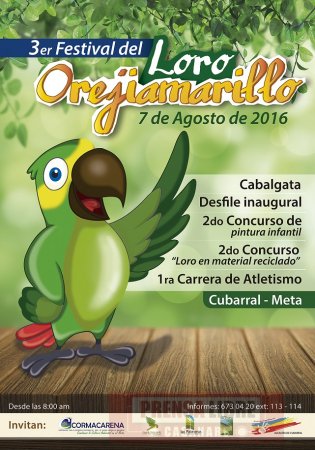 Festival del Loro Orejiamarillo en Cubarral
