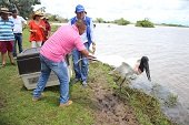 Fauna silvestre recuperó su libertad en Hato Venecia en San Luís de Palenque