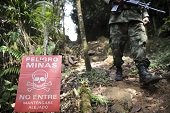 30 personas murieron durante los últimos 16 años por minas antipersonales activadas en Casanare