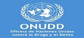 Oficina de las Naciones Unidas contra la Droga y el Delito realiza taller anticorrupción en Yopal