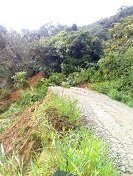 Derrumbe mantiene incomunicadas 5 veredas de Aguazul 