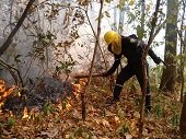 Alerta Roja en Paz de Ariporo y Hato Corozal por amenaza de ocurrencia de incendios forestales