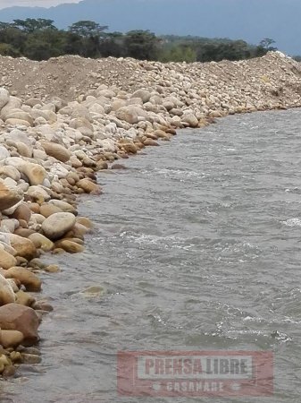 Obra de protección de la Alcaldía de Tauramena originó mortandad de peces en el río Cusiana