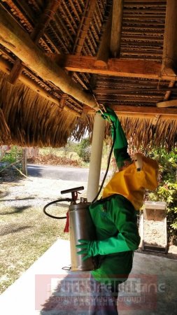 Fumigación en vereda Palomas Agua Verde ante caso grave de Chagas