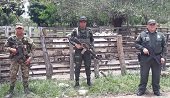 Recuperados 9 semovientes en San Luis de Palenque