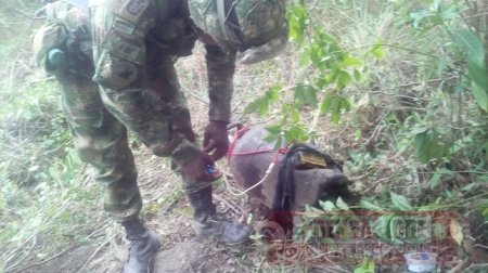 Ejército destruyó cilindros cargados con explosivos por el ELN en Arauca