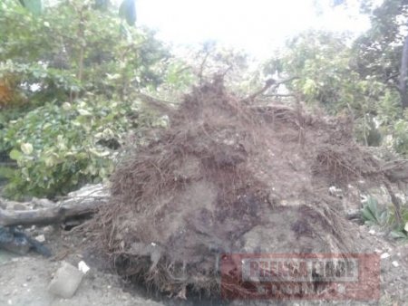 Tormenta en Sabanalarga causó múltiples afectaciones