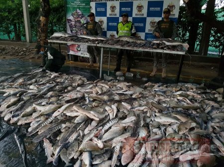 4 mil kilos de pescado y 10 mil artículos de contrabando incautados en Arauca