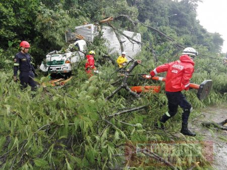 Conductor murió luego de caída de árbol sobre vehículo en la vía Aguazul - Sogamoso 