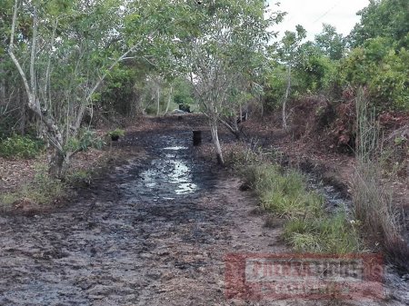 Ruptura de tubería petrolera genera emergencia ambiental desde hace 14 días en Maní 