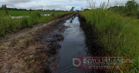 Abril Tarache pide intervención inmediata de Minambiente ante derrame de petróleo en área rural de Nunchía