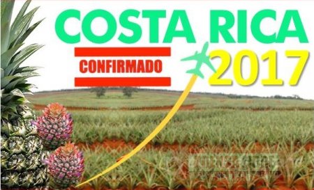 A Costa Rica misión comercial casanareña especializada en piña