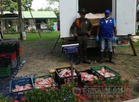 Intensifican control al tráfico ilegal de carne de chigüiro en vías de Casanare
