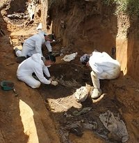 Identificaron restos óseos hallados en finca de Yopal