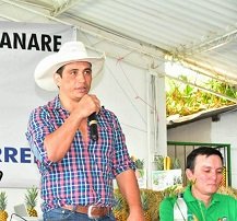 Arrancó proyecto de cultivo de 150 hectáreas de piña en nueve municipios de Casanare