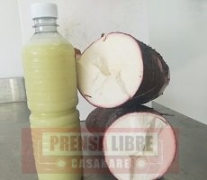 Utopía presenta primera bebida energética elaborada de yuca
