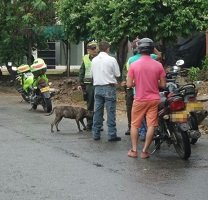 Ofensiva de la Policía contra el hurto de motocicletas en Yopal 